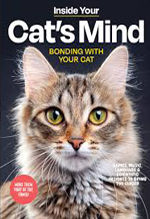 Inside your Cat’s mind