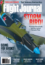 Flight journal : storm bird!