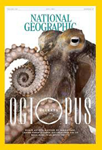 Secrets of the octopuses
