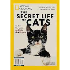 The secret life of cats : out of the wild and into our homes