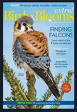 Birds & blooms extra : finding falcons